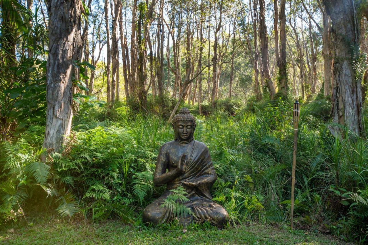 Buddha's *